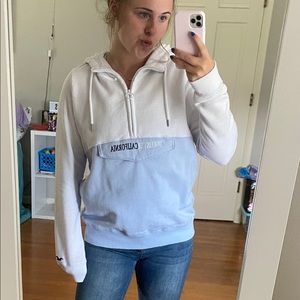 Medium Hollister Hooded Sweatshirt